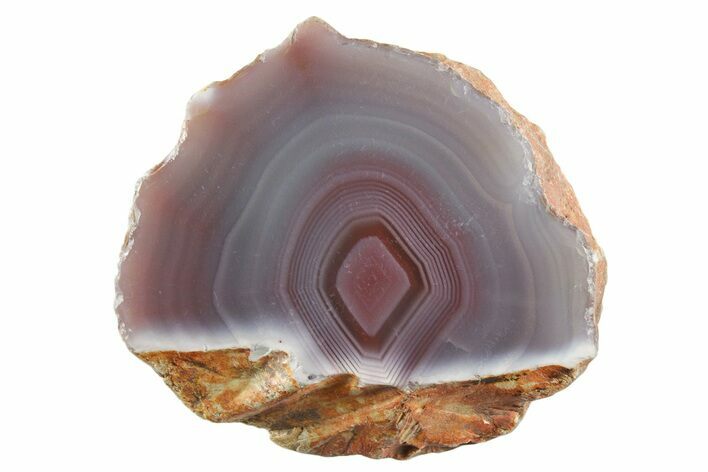 Colorful Polished Banded Agate - Zimbabwe #355905